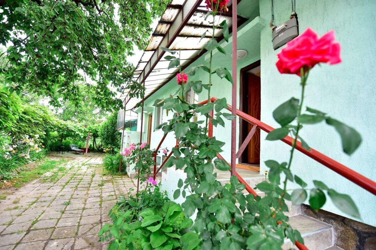 Вілла Flh - House Angelique Сібіу Екстер'єр фото